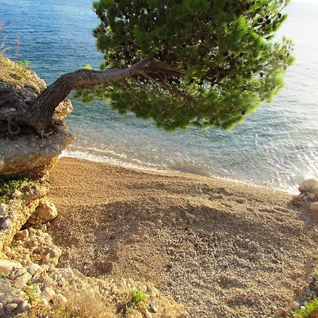 City Beach Medna 게스트하우스 마카르스카